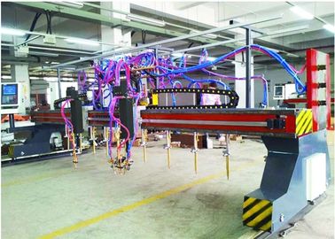 CNC5-5000X14000 প্যান্টের প্রকার মাল্টি-মাথা স্ট্রিপ শিখা এবং রক্তরস কাটন মেশিন 9 + 1 + 1